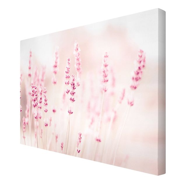 Canvas print - Pale Pink Lavender