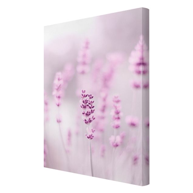 Canvas print - Pale Purple Lavender