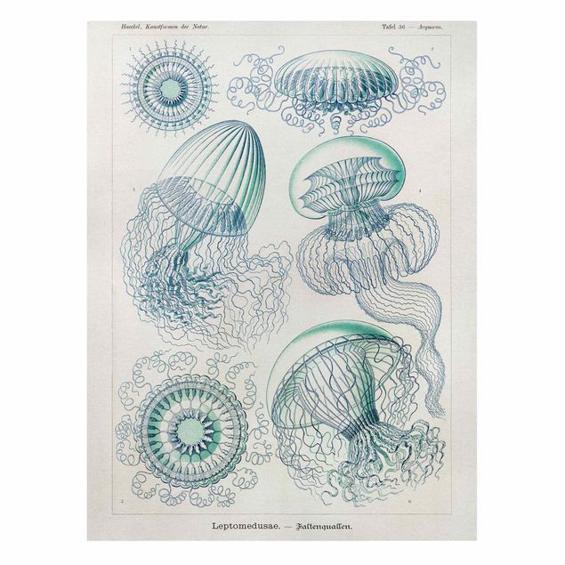 Print on canvas - Vintage Board Jellyfish In Blue