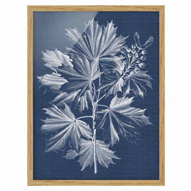 Framed poster - Denim Plant Study V