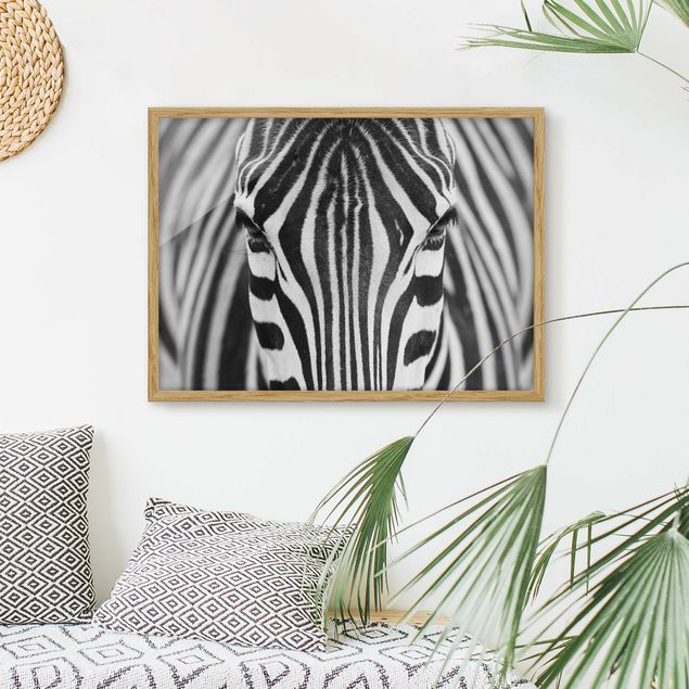 Framed poster - Zebra Look