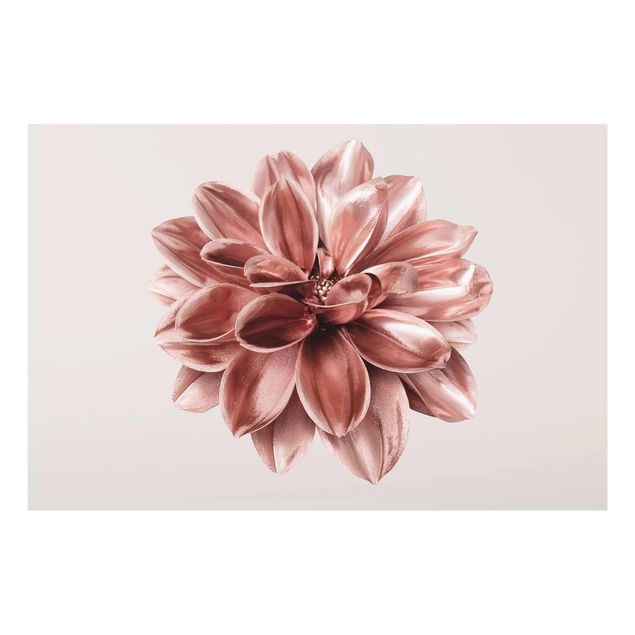 Glass print - Dahlia Flower Pink Gold Metallic