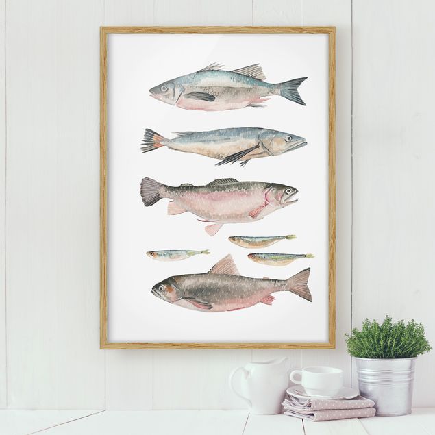 Framed poster - Seven Fish In Watercolour I