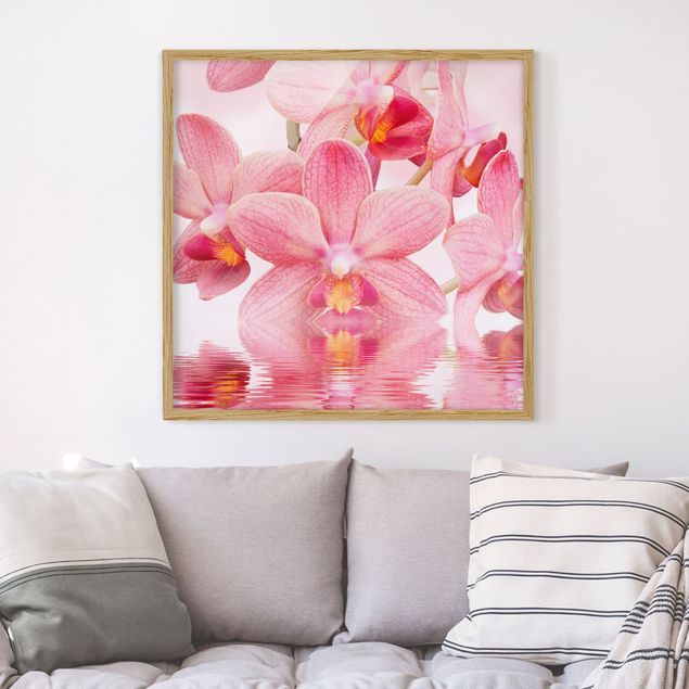 Framed poster - Light Pink Orchid On Water