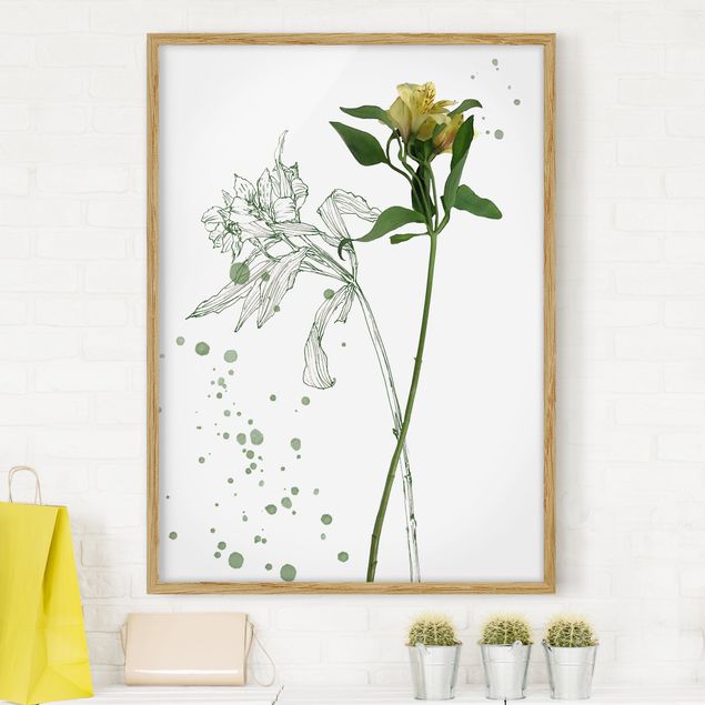 Framed poster - Botanical Watercolour - Lily