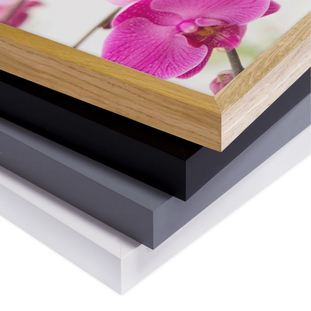 Framed poster - Close-Up Orchid