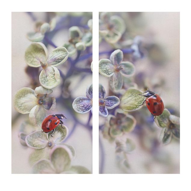 Print on canvas 2 parts - Ladybird In The Garden