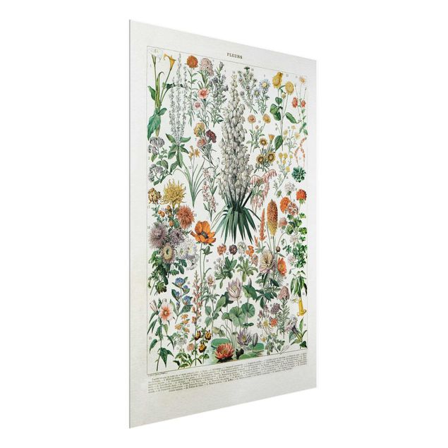 Glass print - Vintage Board Flowers I
