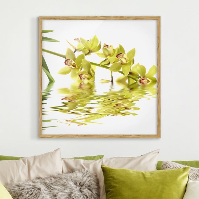 Framed poster - Elegant Orchid Waters