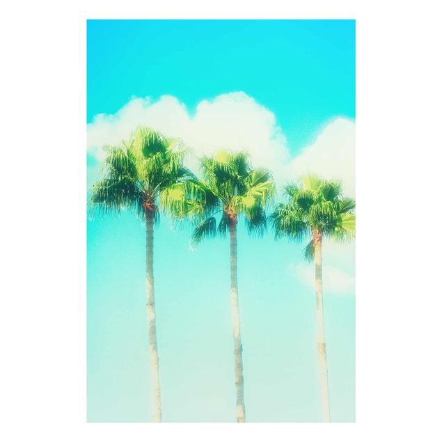Glass print - Palm Trees Against Blue Sky