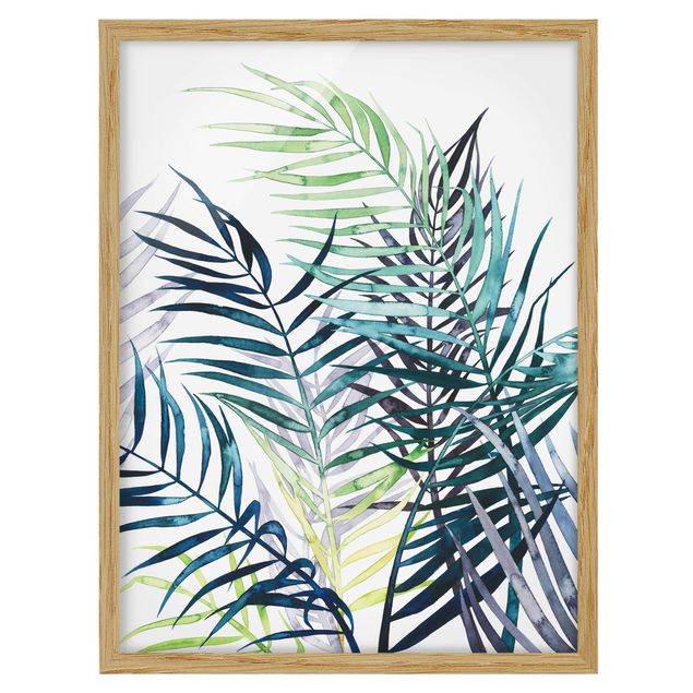 Framed poster - Exotic Foliage - Palme