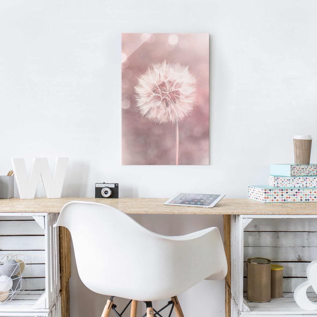 Glass print - Dandelion Bokeh Light Pink