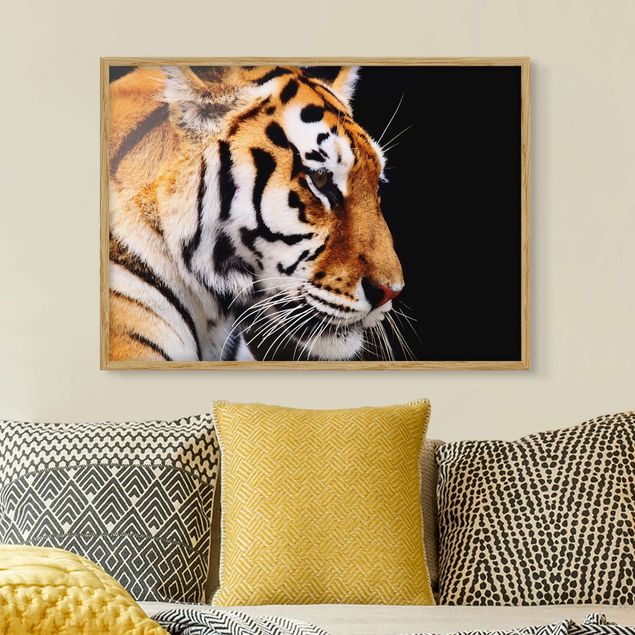 Framed poster - Tiger Beauty