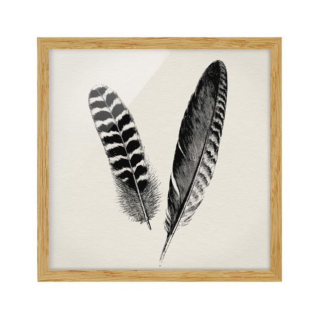 Framed poster - Two Feathers - Drawing