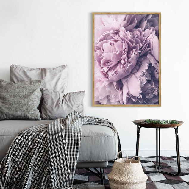 Framed poster - Purple Peony Blossoms