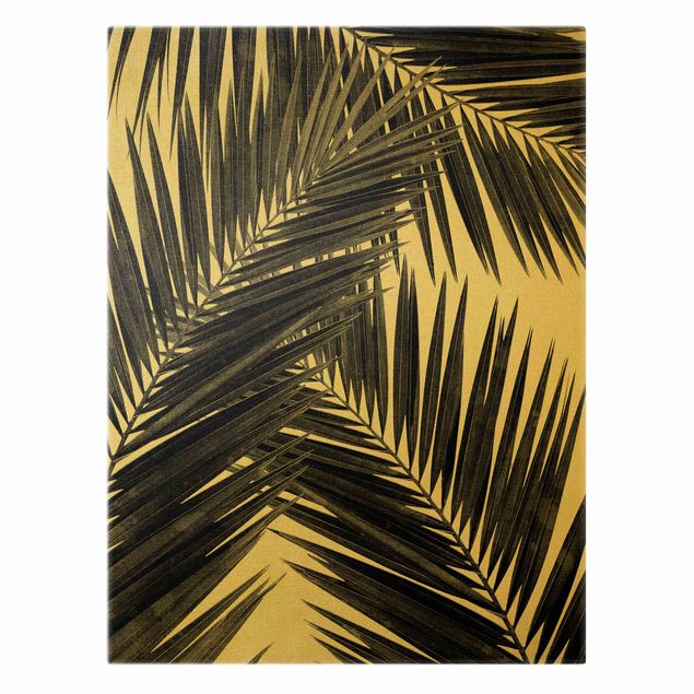 Canvas print gold - View Through Palm Leaves Black And White