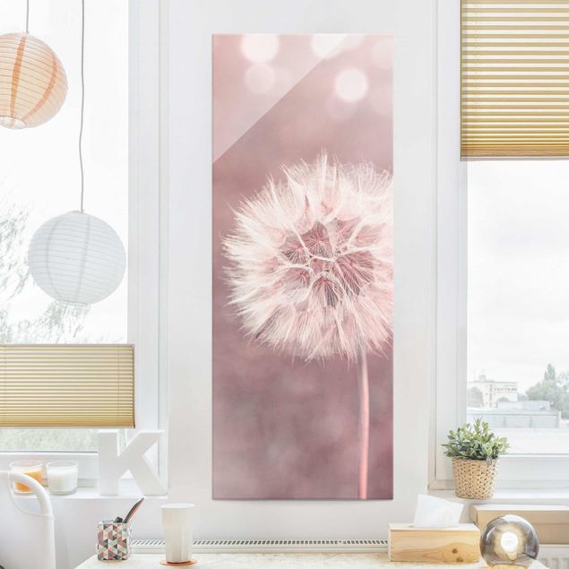 Glas Magnetboard Dandelion Bokeh Light Pink