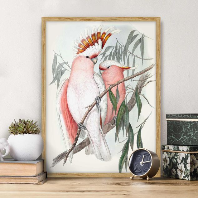 Framed poster - Pastel Parrots I