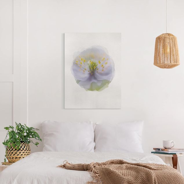Canvas print - WaterColours - Anemones Beauty