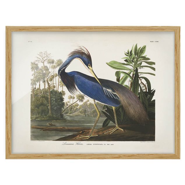 Framed poster - Vintage Board Louisiana Heron