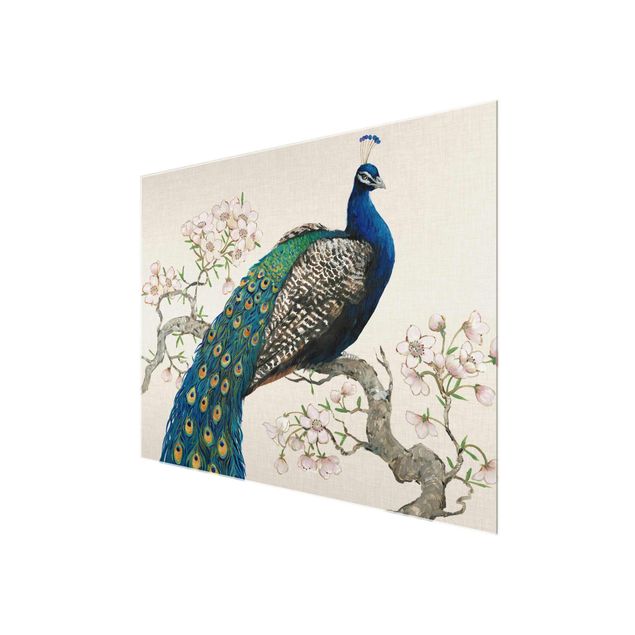 Glass print - Vintage Peacock With Cherry Blossoms