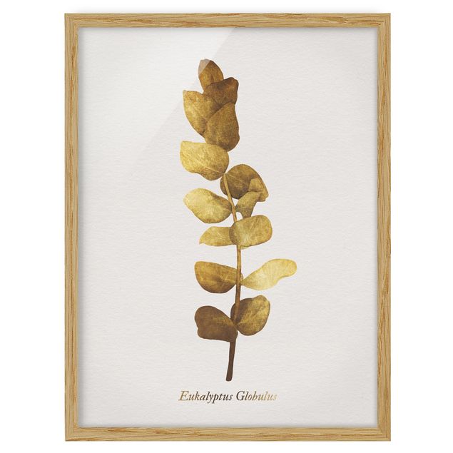 Framed poster - Gold - Eucalyptus