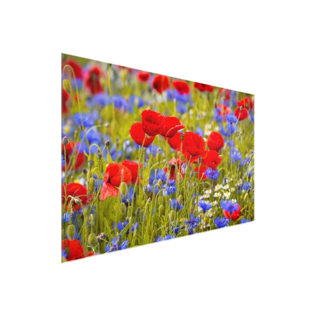 Glass print - Summer Meadow With Poppies And Cornflowers