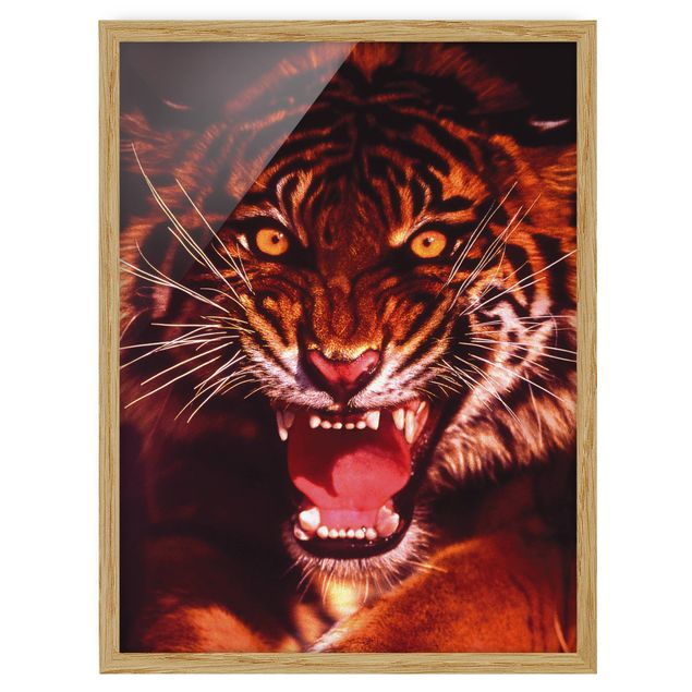 Framed poster - Wild Tiger