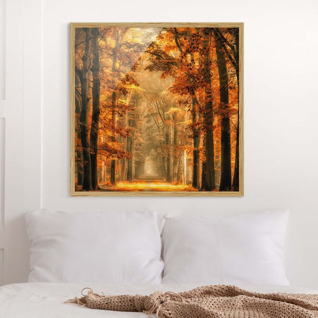 Framed poster - Enchanted Forest In Autumn