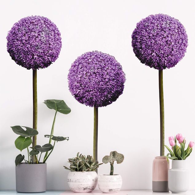Flower wall decals Allium Ball Blossoms Set of 3