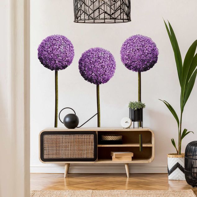 Wall decal Allium Ball Blossoms Set of 3