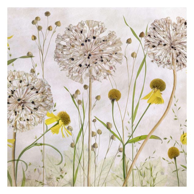 Wallpaper - Allium And Helenium Illustration