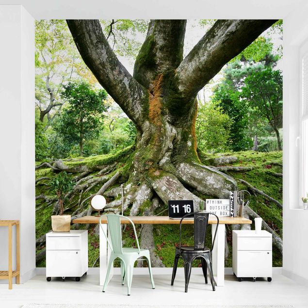 Wallpaper - Old Tree