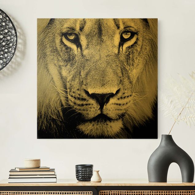 Print on canvas - Old Lion