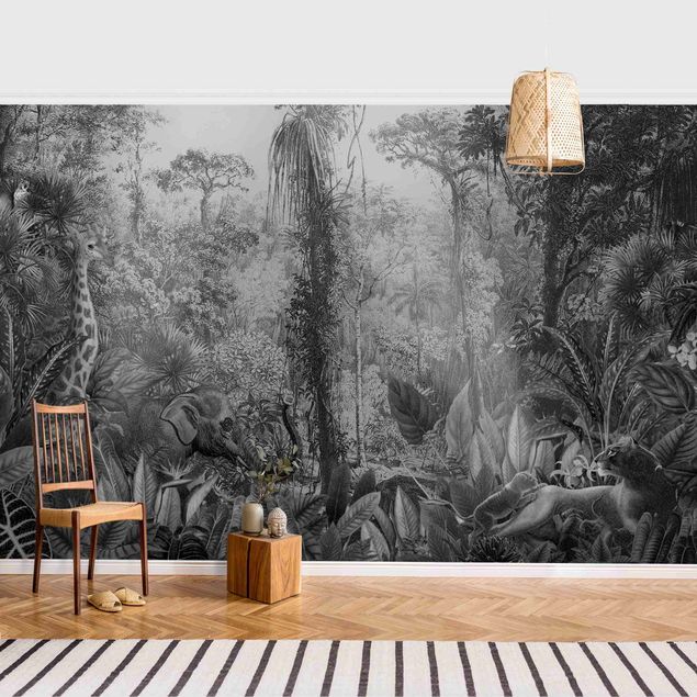 Wallpaper - Antique Jungle Black And White