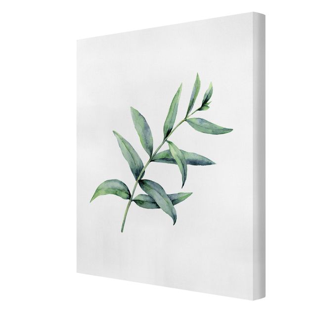 Canvas print - Waterclolour Eucalyptus l