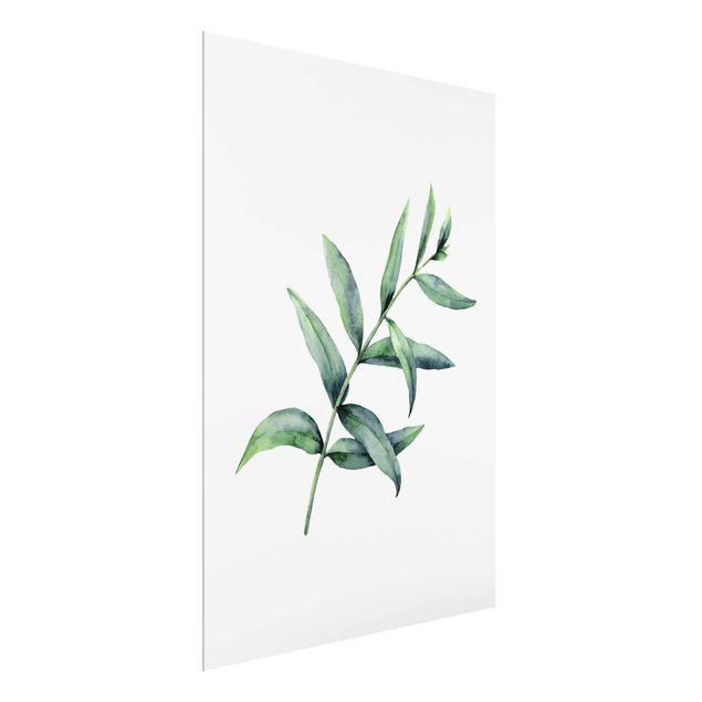 Glass print - Waterclolour Eucalyptus l