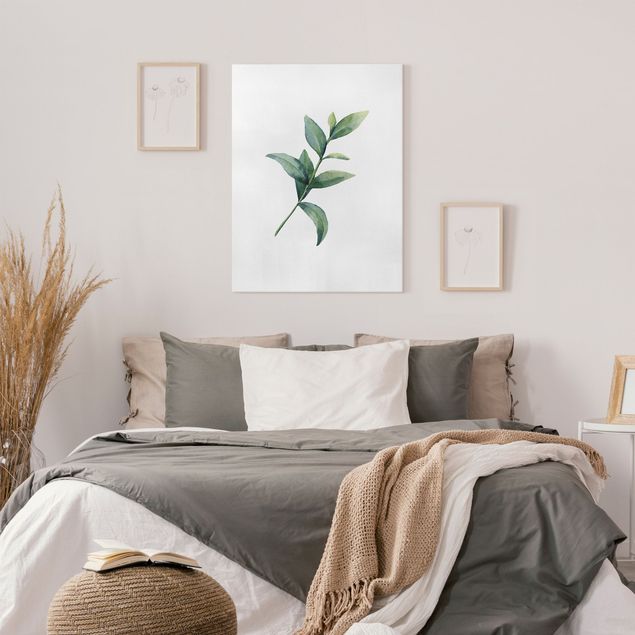 Canvas print - Waterclolour Eucalyptus ll