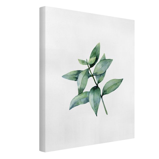 Canvas print - Waterclolour Eucalyptus lll