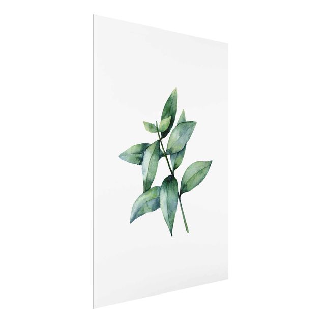 Glass print - Waterclolour Eucalyptus lll