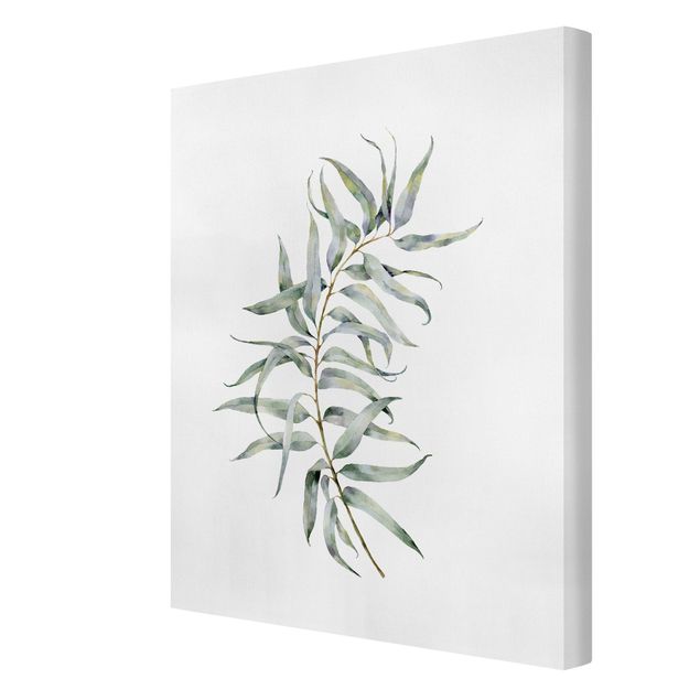 Canvas print - Waterclolour Eucalyptus lV