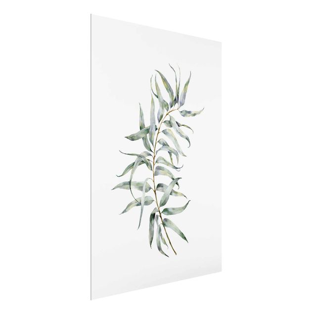 Glass print - Waterclolour Eucalyptus lV