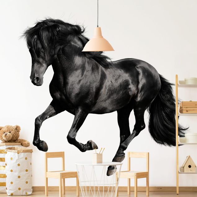 Wallpapers Arabian Stallion