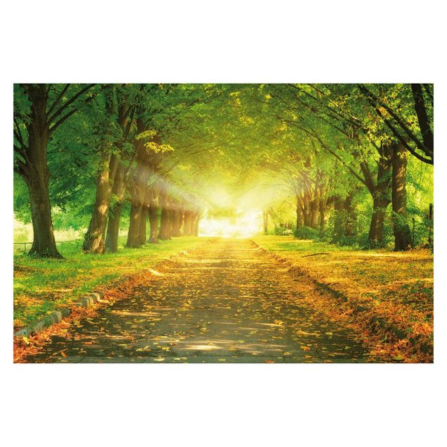 Wallpaper - Autumn Avenue
