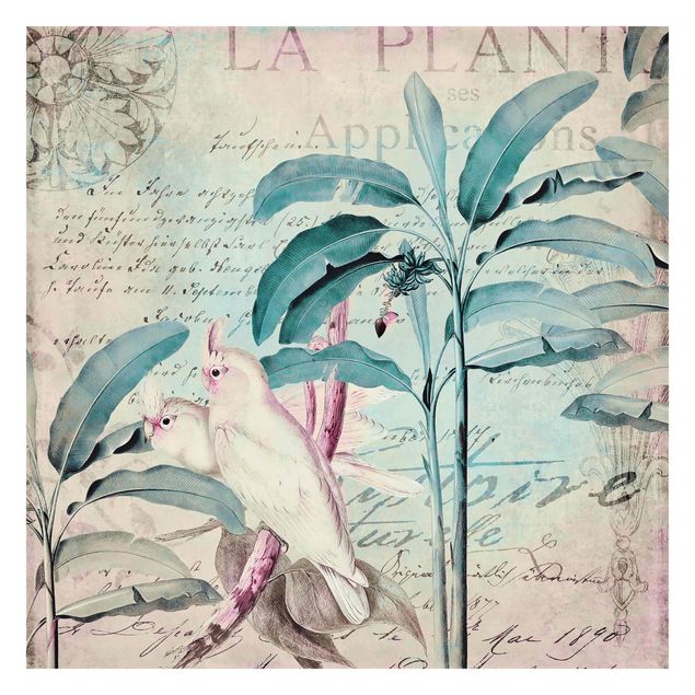 Wallpaper - Colonial Style Collage - Cockatoos And Palm Trees