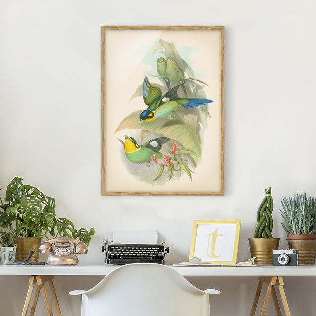 Framed poster - Vintage Illustration Tropical Birds