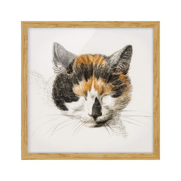 Framed poster - Vintage Drawing Cat IV