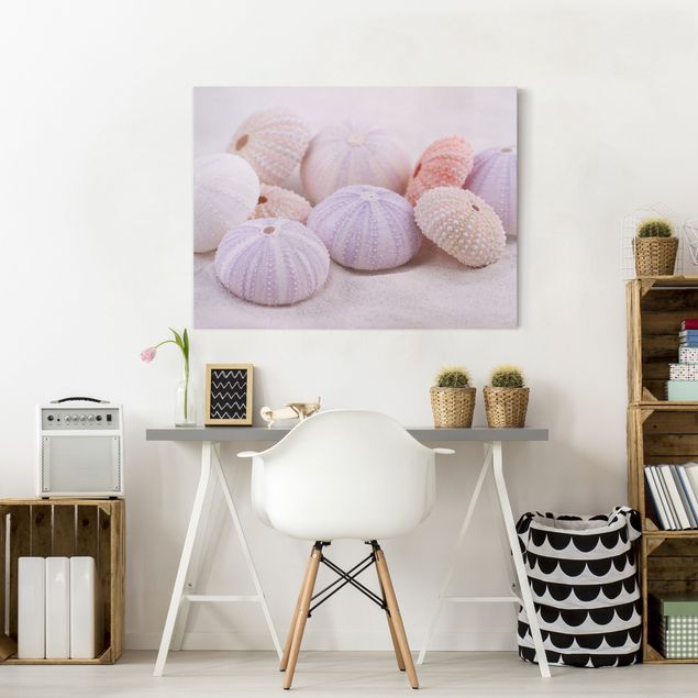 Print on canvas - Sea Urchin In Pastel