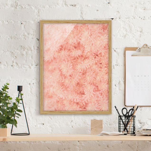 Framed poster - Rosemary Light Pink