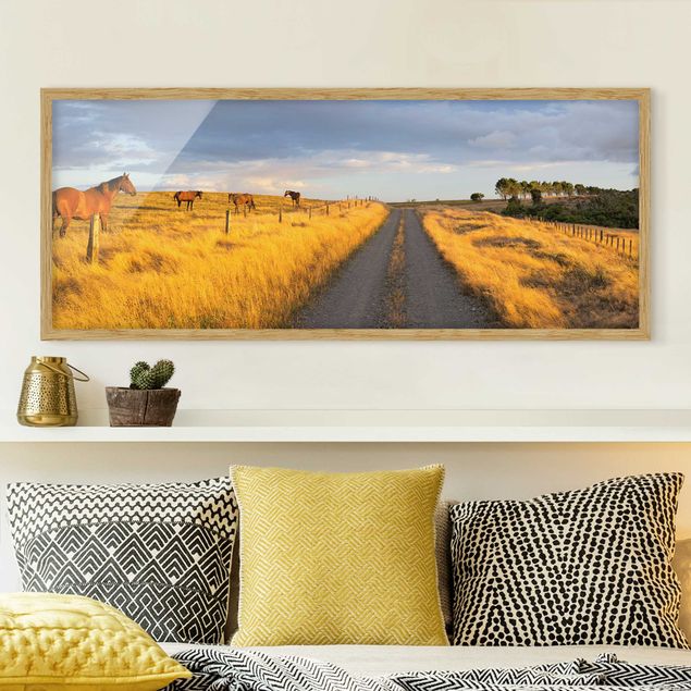 Framed poster - Field Road And Horse In Evening Sun